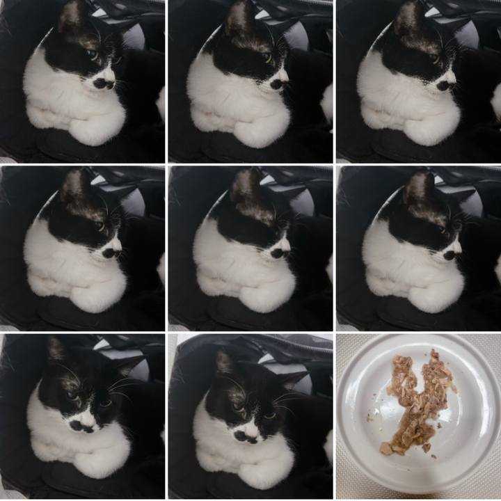 4a56285e 57ce 40de 878e a2b6ad30b5e4 1694135969148