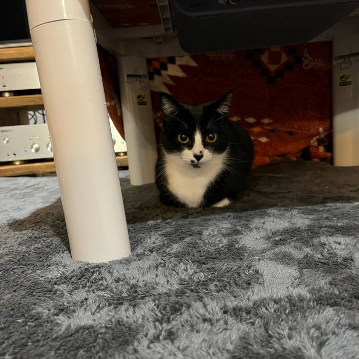 4a564685 5e7d 4fa9 835c 16f6902943d2 1640096189957