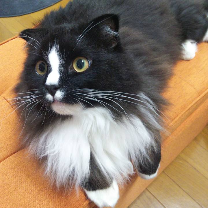 4a5686d7 d4f6 4364 b05b 256e26e8cbe0 1656589724955