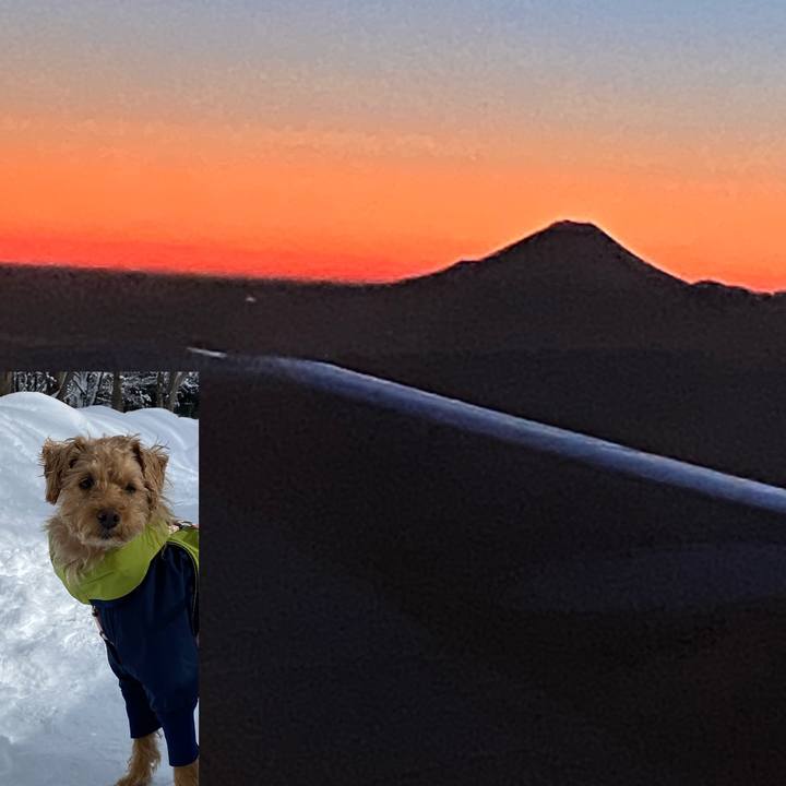 4a56b47e ea56 4bd4 b23a 22be2e2b0eda 1645957761102