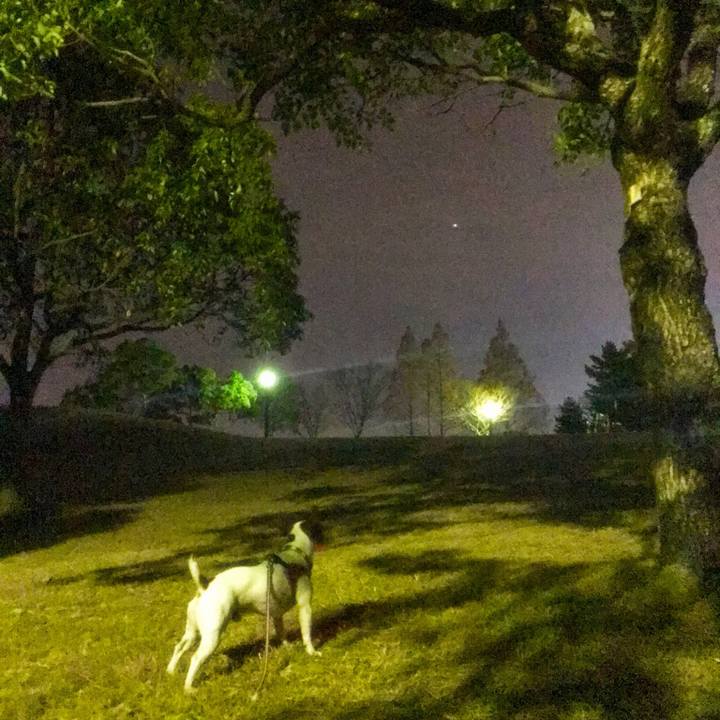 4a56cd87 741f 40ee 99a9 08e4d4c08dee 1513358169820