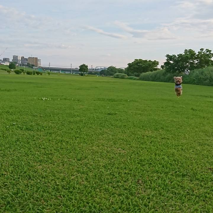 4a56e4a1 c3d3 4cce 916a e1df2c3b9579 1561590650333