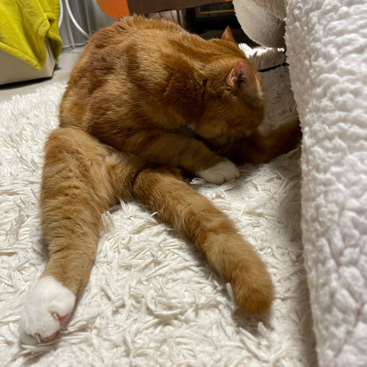 4a56e986 3fc7 4f66 8375 619aadac0764 1618059399856