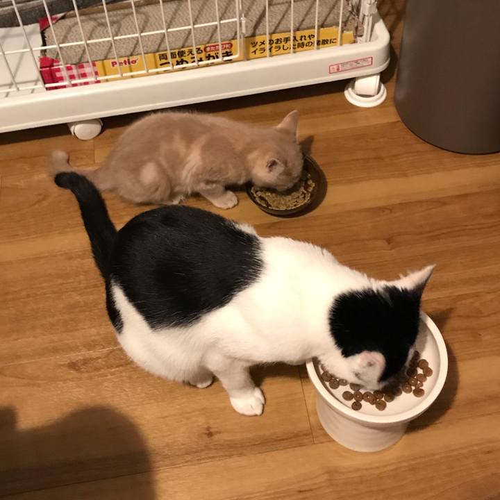 4a57193d c934 4f8c 9208 77a4c334a044 1543309198280