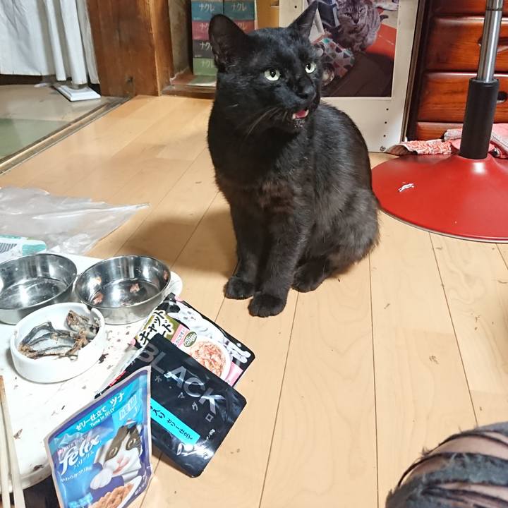 4a571c1d 4a1c 403e 9ff1 69413f65f3e3 1626089683408