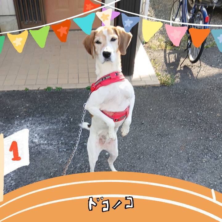 4a576bba 4377 4b0c 89a5 23e28eb932bd 1761552126981