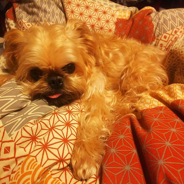 4a578530 d256 40cb 89c0 9de4e27e91a6 1556638379975