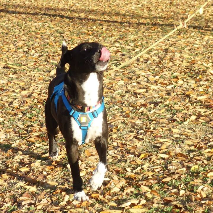 4a579e10 d926 4258 af1b 57123ddbc48c 1605918756555