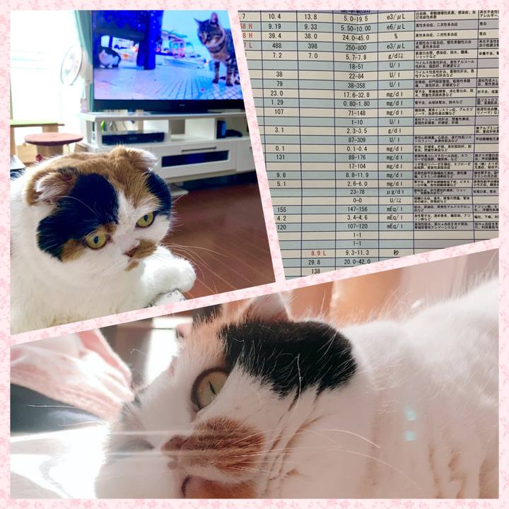 4a57a9a8 b474 4d5e 9e35 ad52d6bd11f9 1581756490668