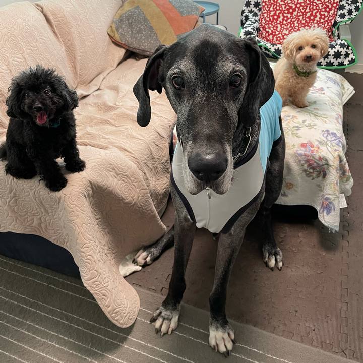 4a57b990 4b77 473a a1a6 eaecd3bd142b 1633474433186