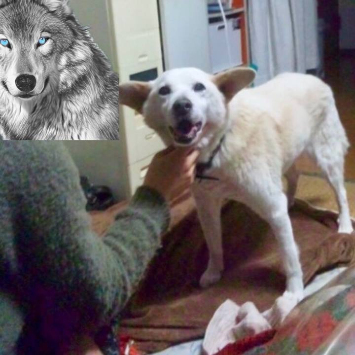 4a586816 ea64 44c2 886f 0c8d2b174539 1520117092885