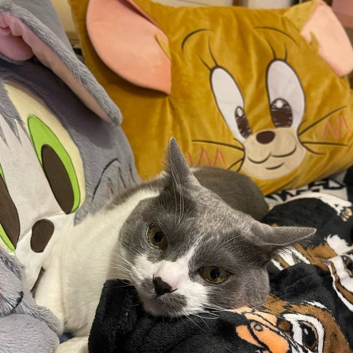 4a5868af b05c 4171 8aef b72953477e18 1700560408502