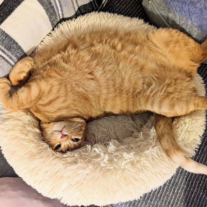 4a5869a1 f5d3 4146 a99a 8a60286eb96e 1659415993840