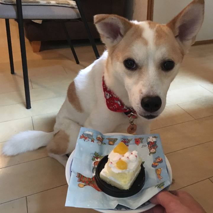 4a587097 7c5f 42a0 b5e6 365d5332f414 1545646962974