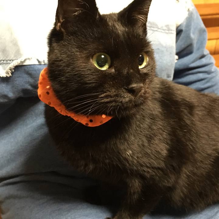 4a587632 5ba8 46f0 9bab 9992d3779bcd 1539347666220