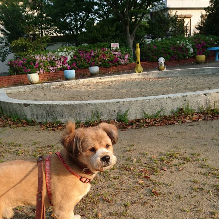 4a58ae1a 2467 4475 a326 deb5c655c9d2 1524867545442