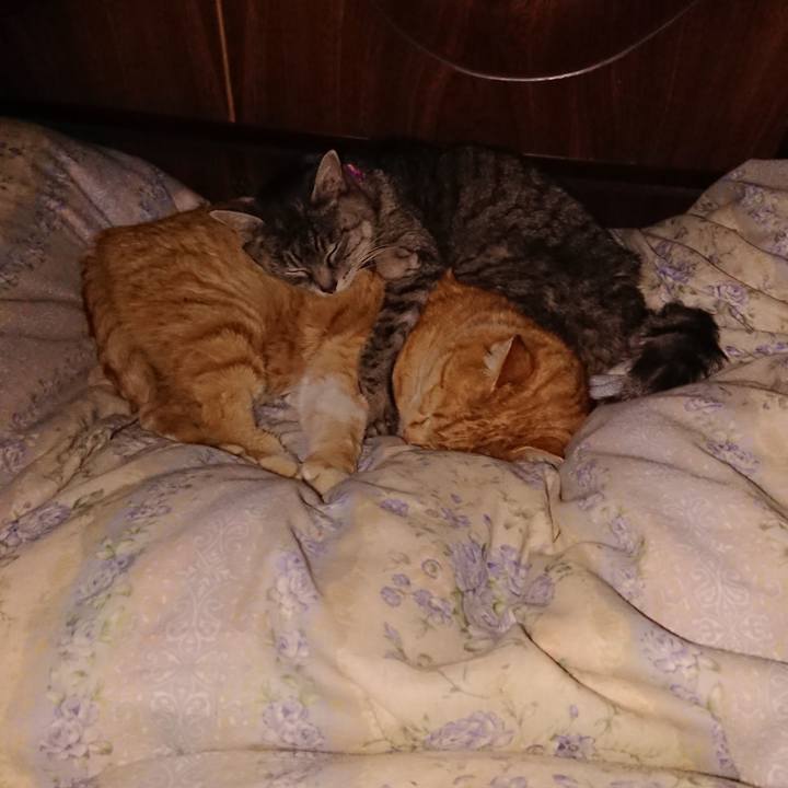 4a58c44b c494 47a3 bf10 0f22074c11c3 1578762824001