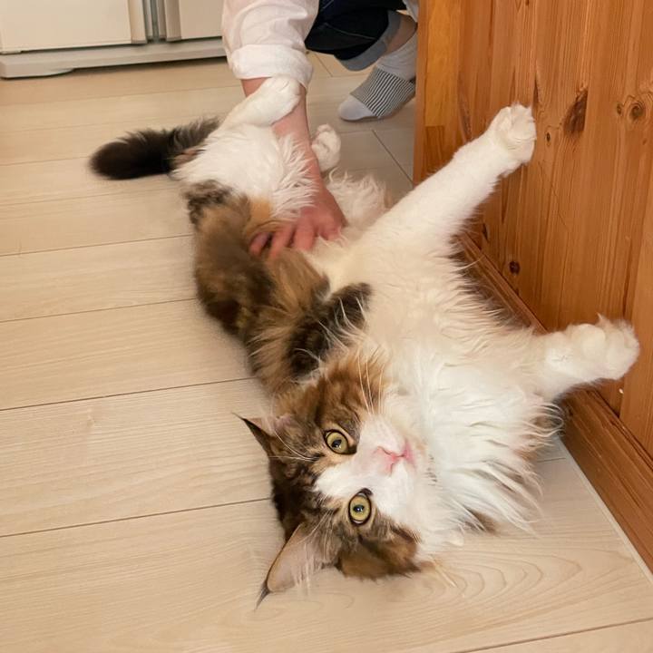 4a59334b ca8c 49c1 a5a8 fcd64476fb22 1651097385002