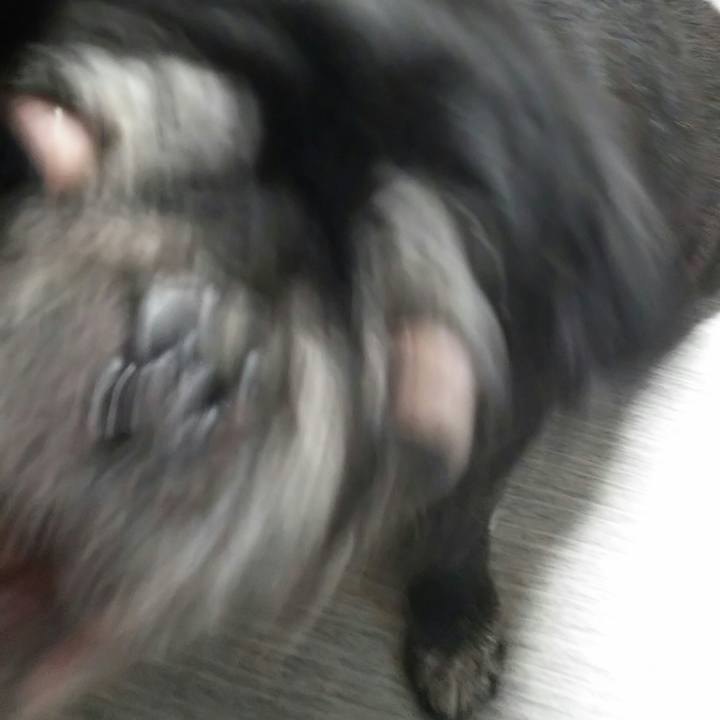 4a593606 abfa 467b 851e 9ca8d1973503 1531919420769