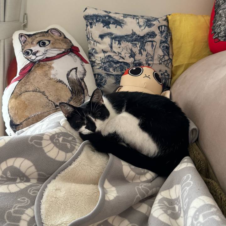 4a59466f cc90 46e4 ba4c 84204e6fc20f 1758333058821