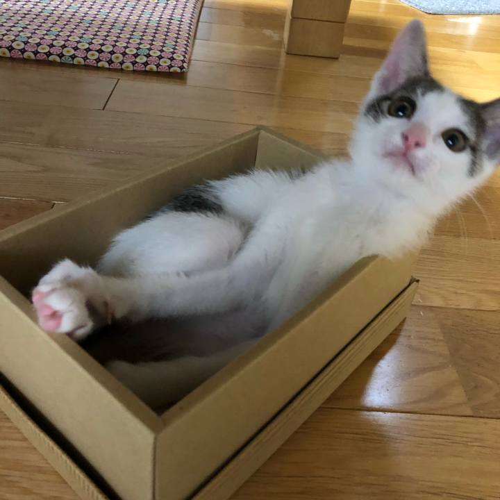 4a595c78 4fe8 4517 8ead 59e100a054b2 1562761199097