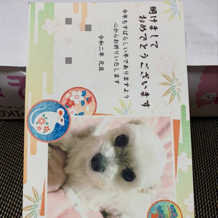 4a595de9 8afc 43ae 95ca c32e0552243d 1577805379193