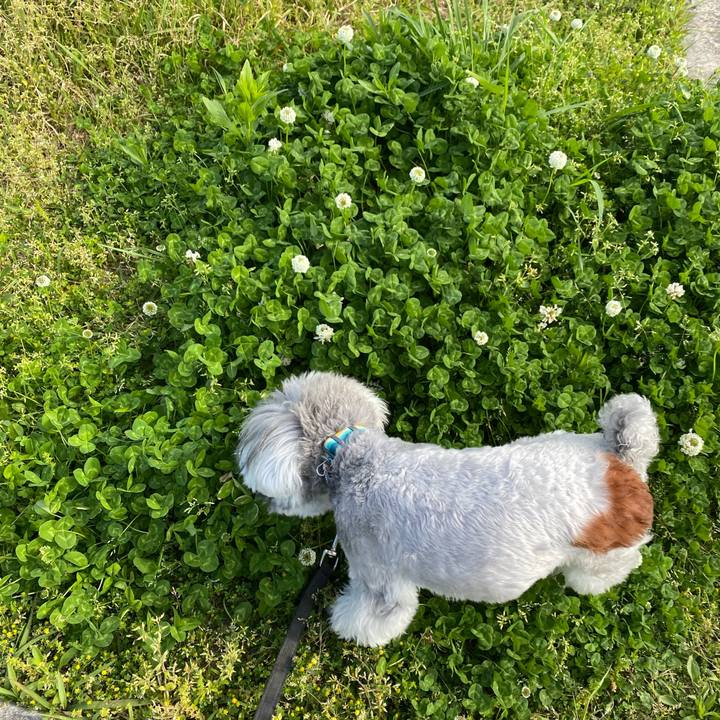 4a595fd4 b42b 4123 8eac 831fffb6cfc9 1650181731197