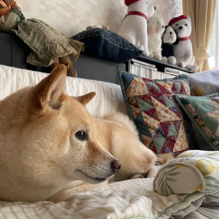 4a5964a9 c806 4094 9790 0e8bb7a1ebad 1720140708916