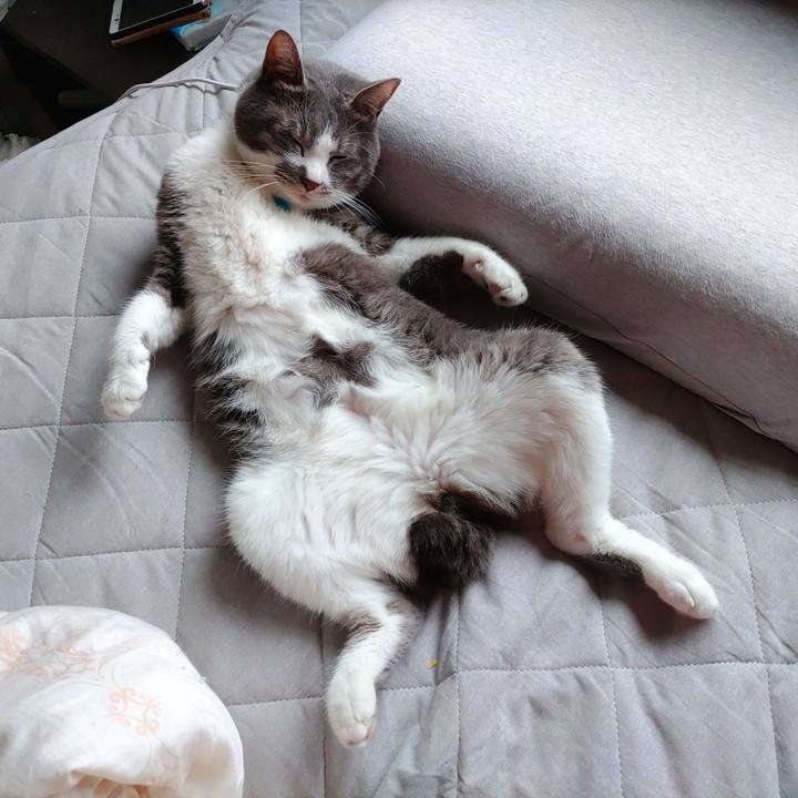 4a5964ec 4d4c 442e a416 8cc0ac252f9f 1685491287261