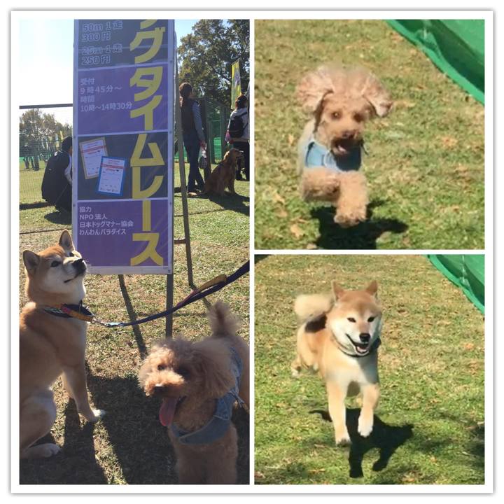 4a5a4de4 cf90 4274 89d3 d977613b5b25 1510470539127