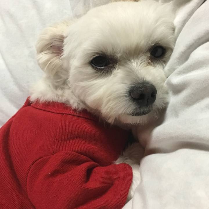 4a5a810f 6ace 4b63 9c2b af886d49915c 1508934001011