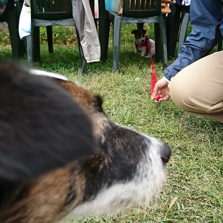 4a5abb64 fe8a 4417 bd9a 563f8783419c 1556603181246