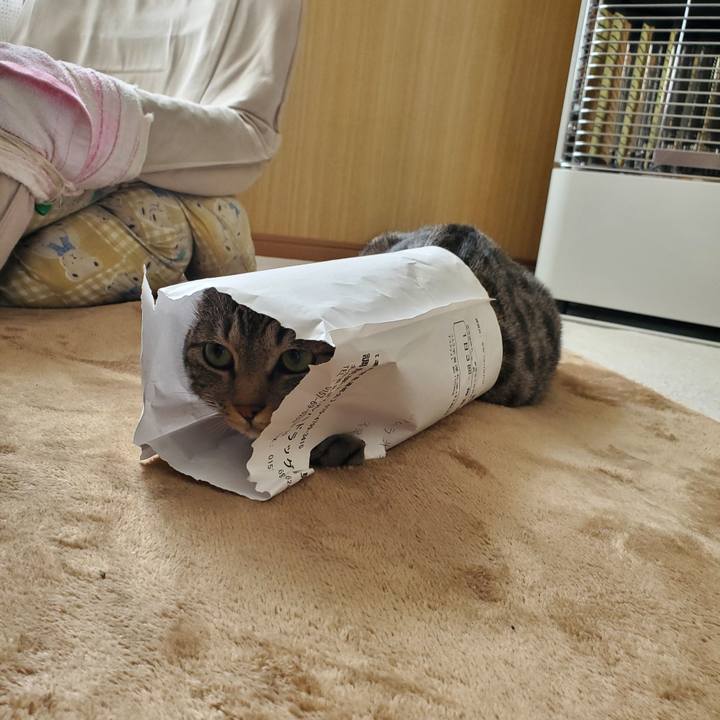 4a5abe49 e1aa 42d3 9b2d fe32179586c0 1711036219337