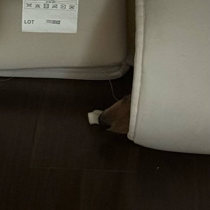 4a5ad99f ba9d 4e42 938d 87445e0e1bb4 1726478466407