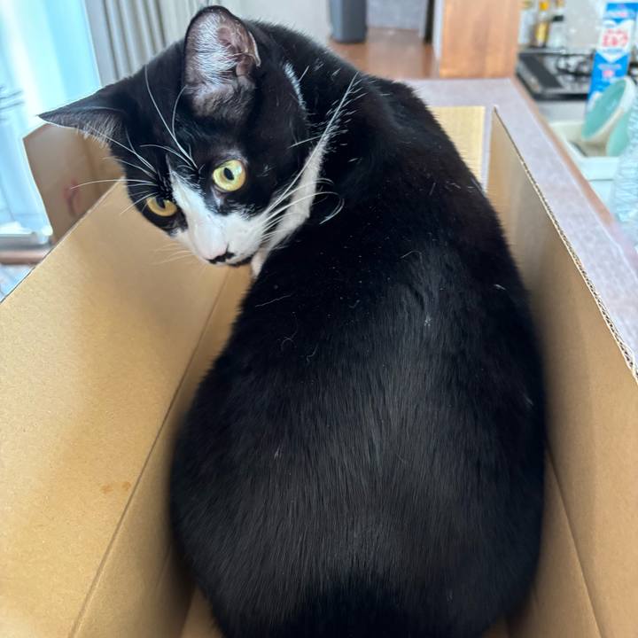 4a5b2637 489a 46fd 8847 259eaedea4a4 1773282633249