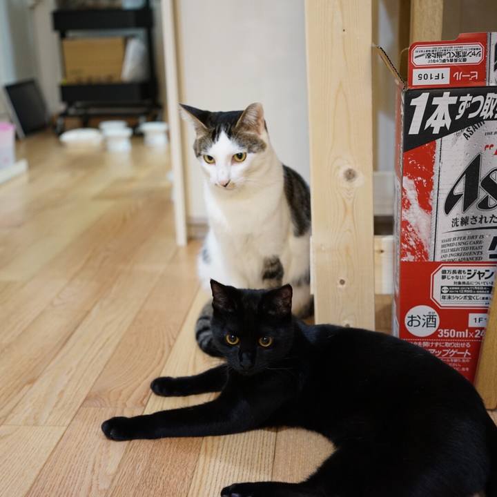 4a5b2a47 121c 443e 93e2 7bc2e4383c7d 1517320443273