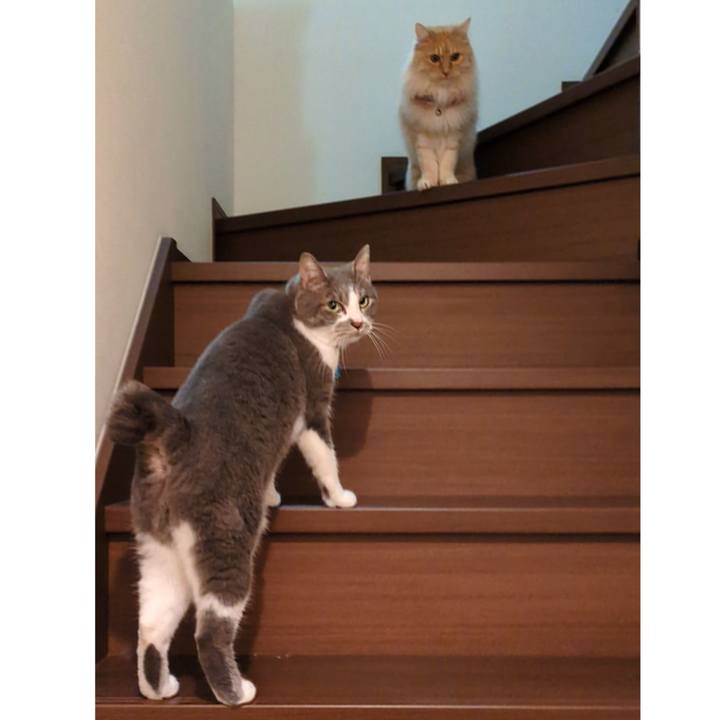 4a5b2d33 81e9 4c35 8676 973aee7a566f 1745670201450