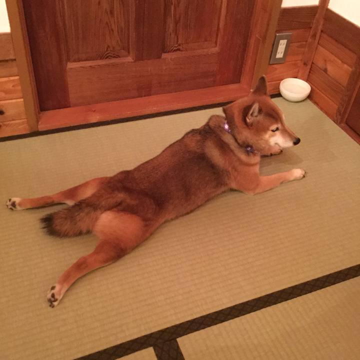 4a5b531c 3286 4d1b 8d99 69ee24215189 1573905885238