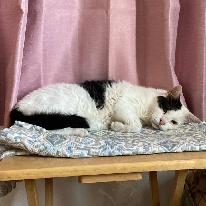 4a5b80d9 dea6 4543 adf8 a8ebb75722d8 1656157393584