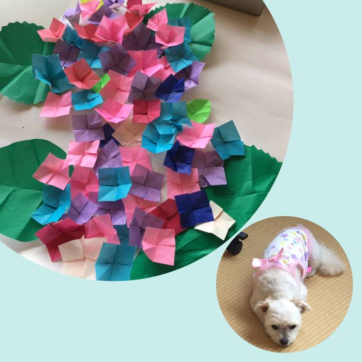 4a5b9d5a 090d 43ad 9adf d91ee2fee555 1559885510585