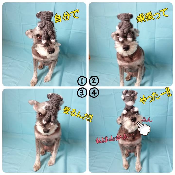 4a5bcdb9 0472 49c8 814c 8b658b9f47b9 1527906983941