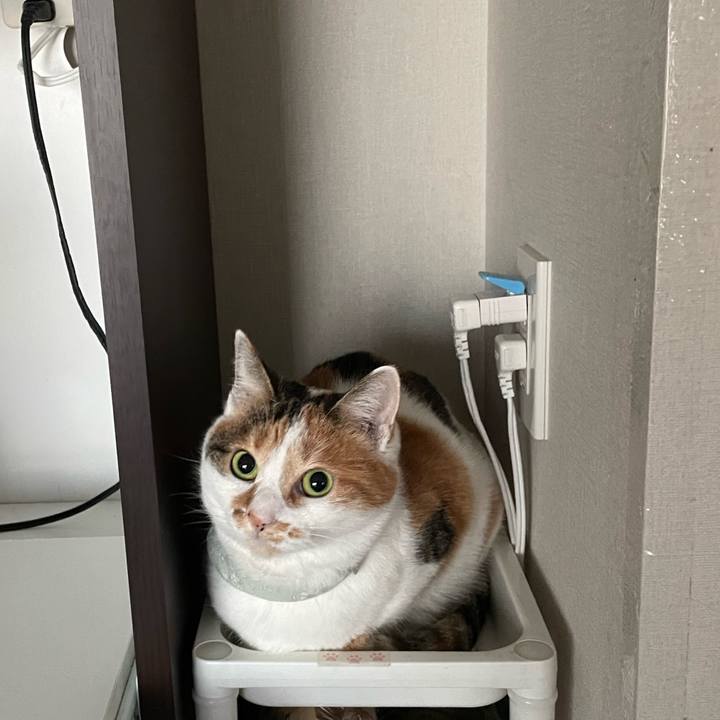 4a5bf762 eac1 4faa a35f 371d5a667b94 1673393911605