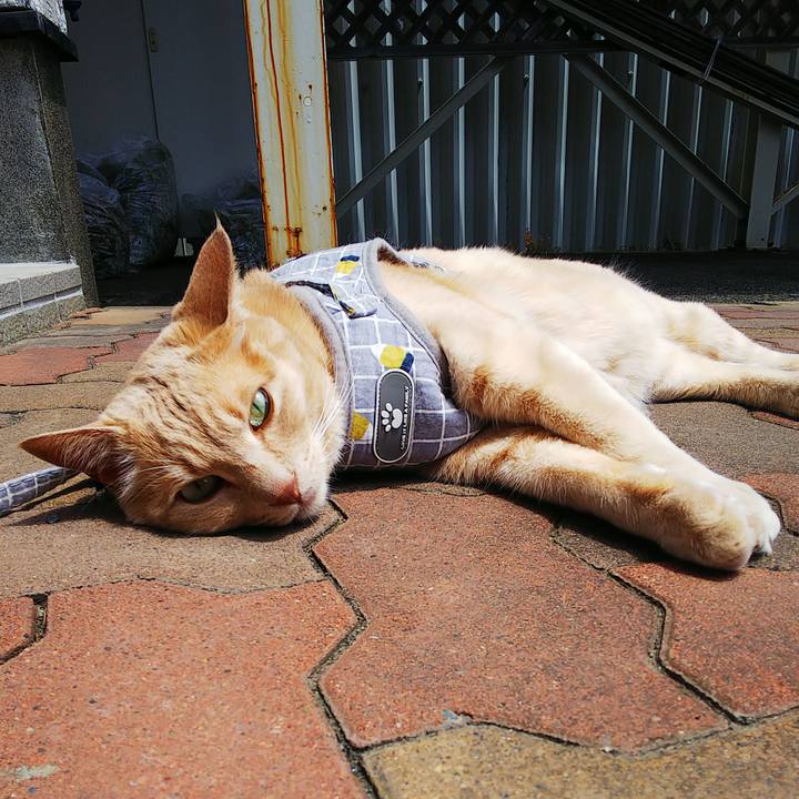 4a5bf979 3a82 4d3d a0bd 6d7544864543 1687575252882