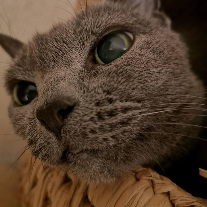 4a5c0945 f99c 4793 9bf1 59e30a0560c0 1601644333601