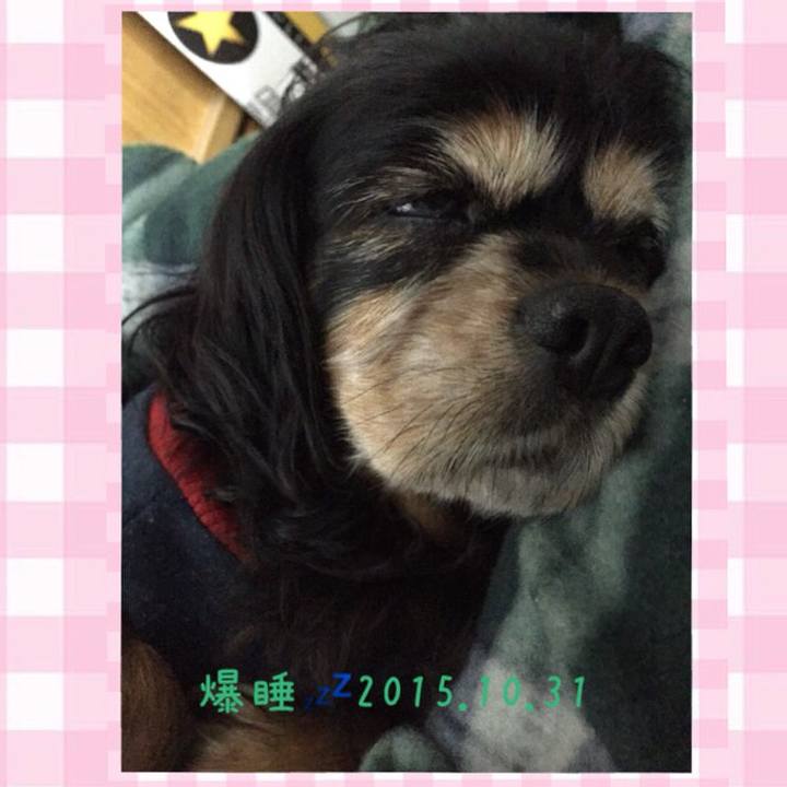 4a5c2ba8 658b 4d61 b1da 1f885bd2f173 1507863049945