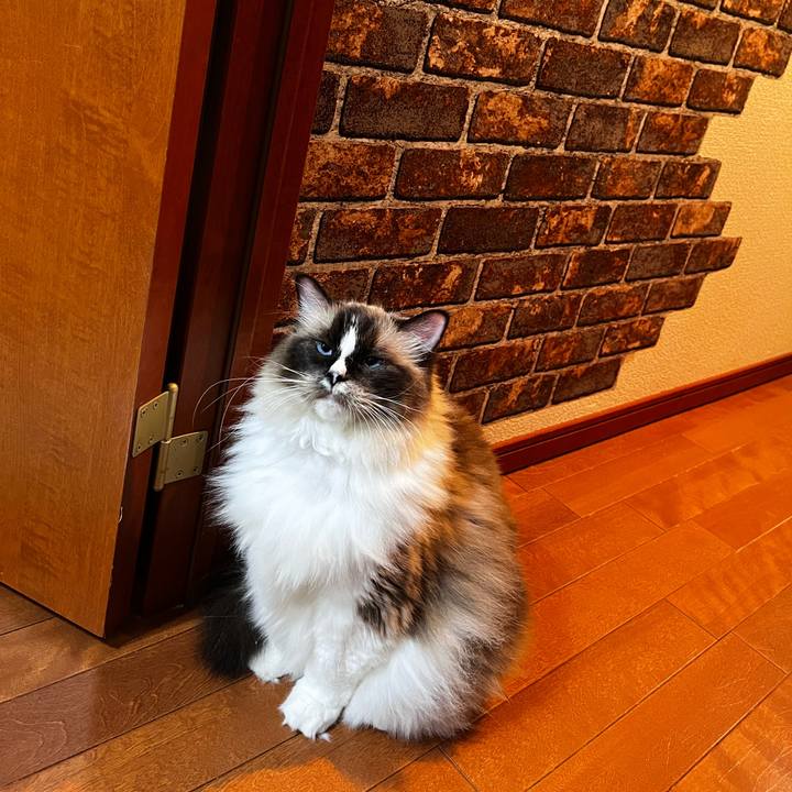 4a5c355e feb7 4c17 b1c5 a32be8ec78f3 1695130176318