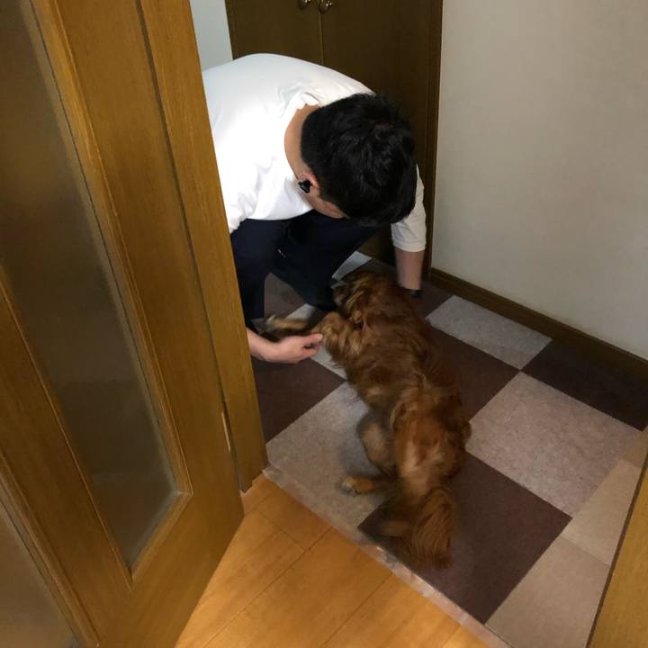 4a5c4dc8 4209 44f8 aac1 66d2293fbada 1620477736125