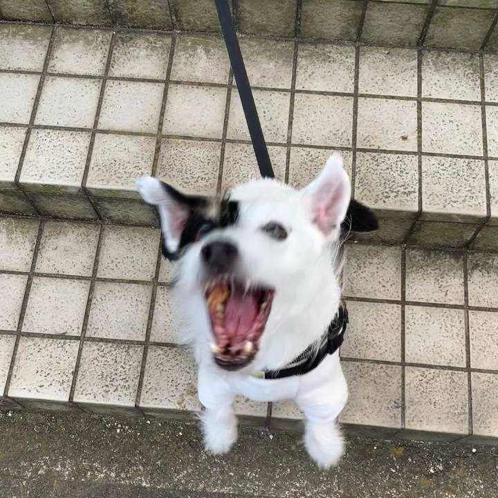 4a5c64e8 68ec 47ee 8596 944f72297455 1675065372313