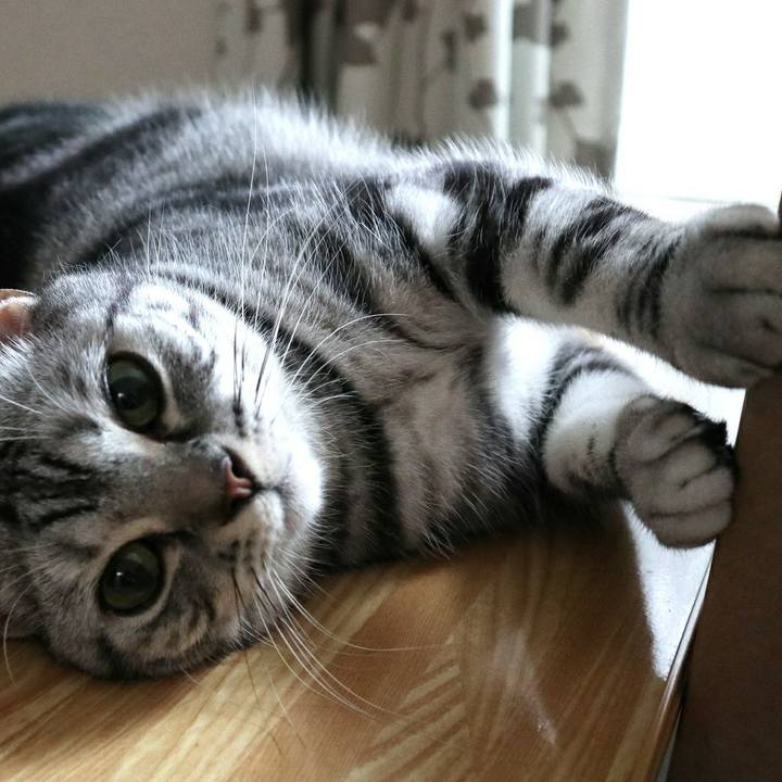 4a5ca5a4 fee3 4959 9531 b44dd0336c89 1592010355950