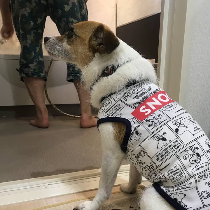 4a5ca9c0 1594 4b9a be7e 2ccc3e4b37ef 1531004819141